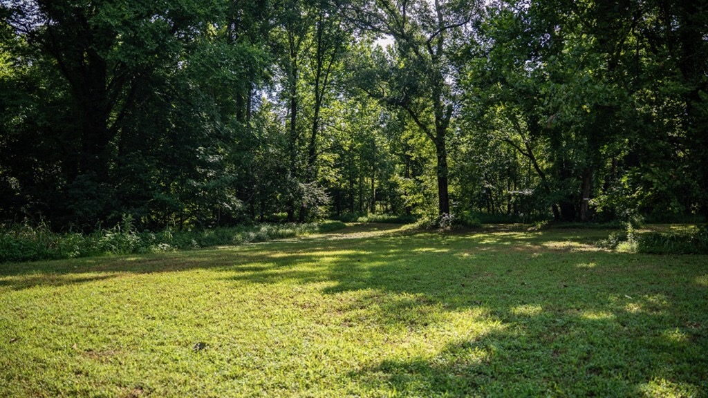 Hunting Land in Claiborne County, MS – The Reagan Tract