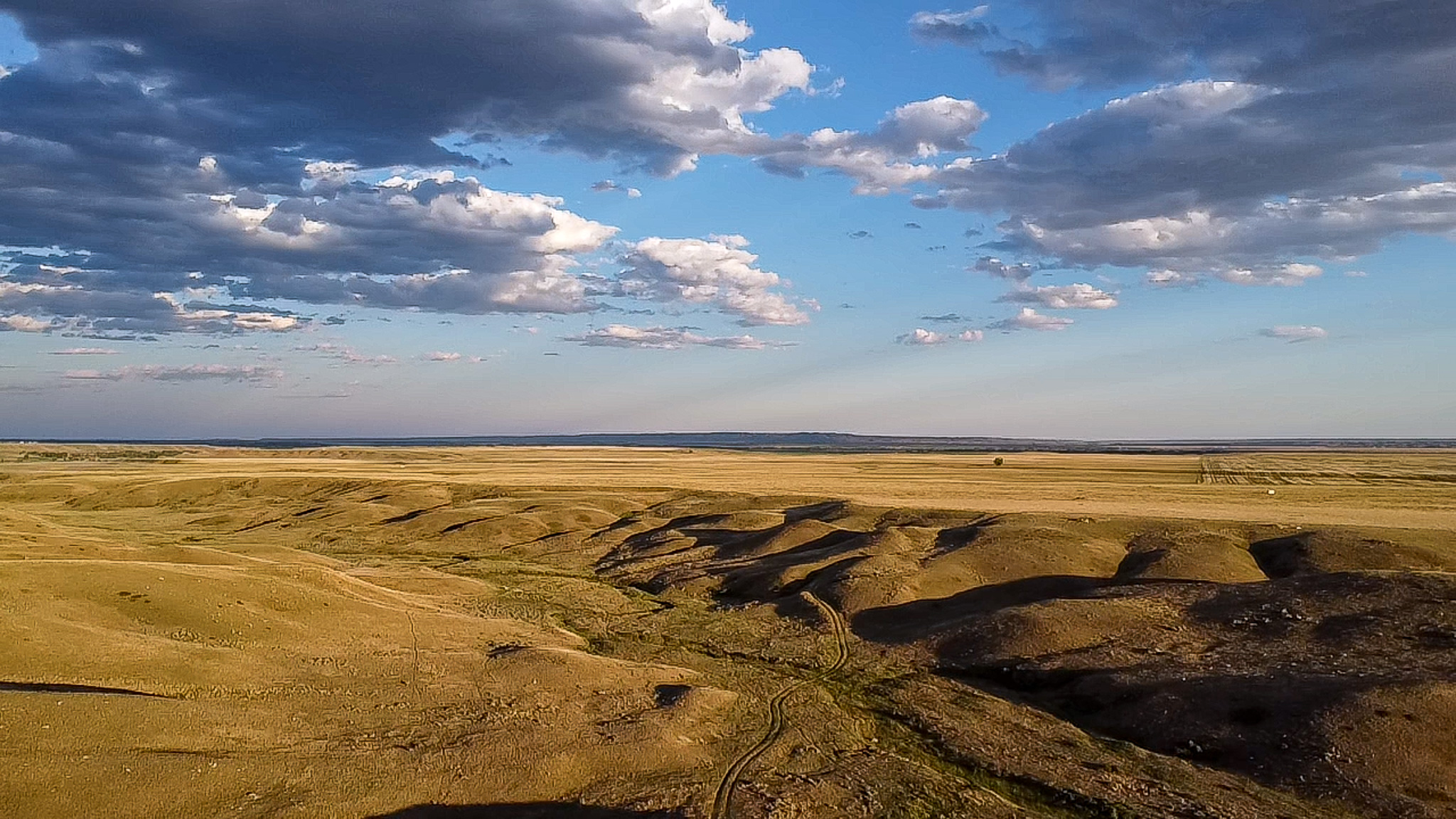 Norman Mavencamp Ranch