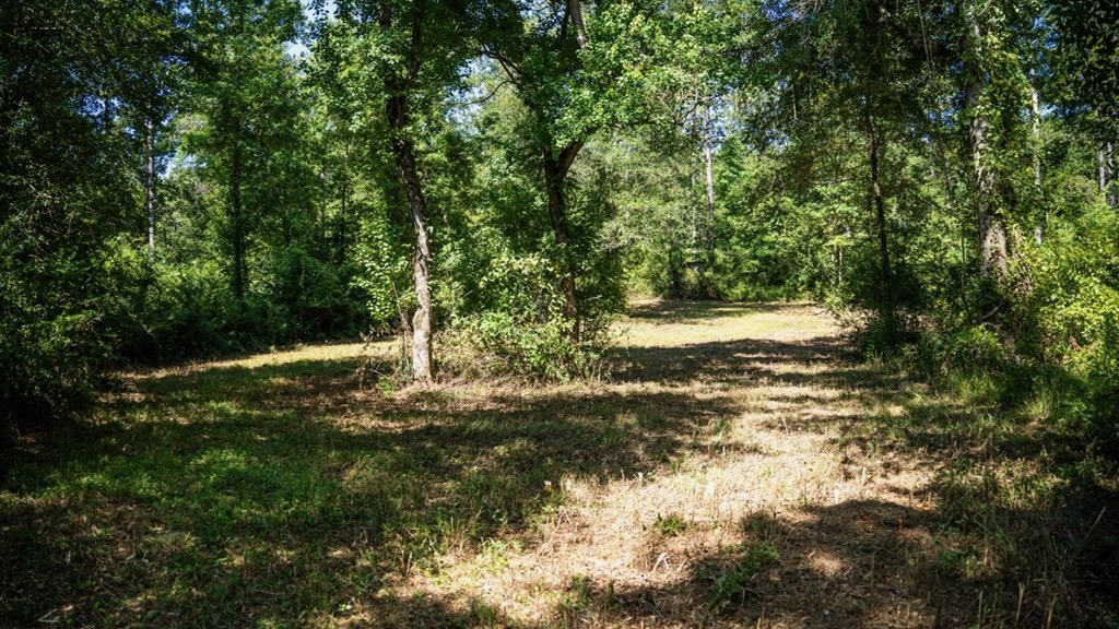 Osyka MS Hunting Land with Pond – Pike 38