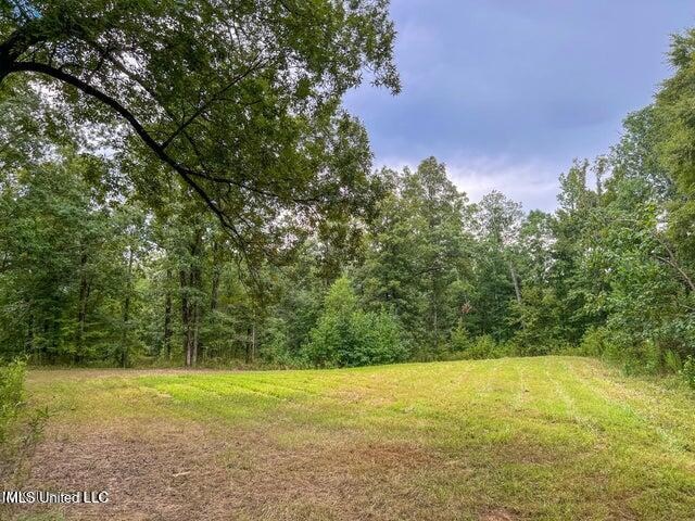 95 Acres of Prime Hunting Property in Hinds County