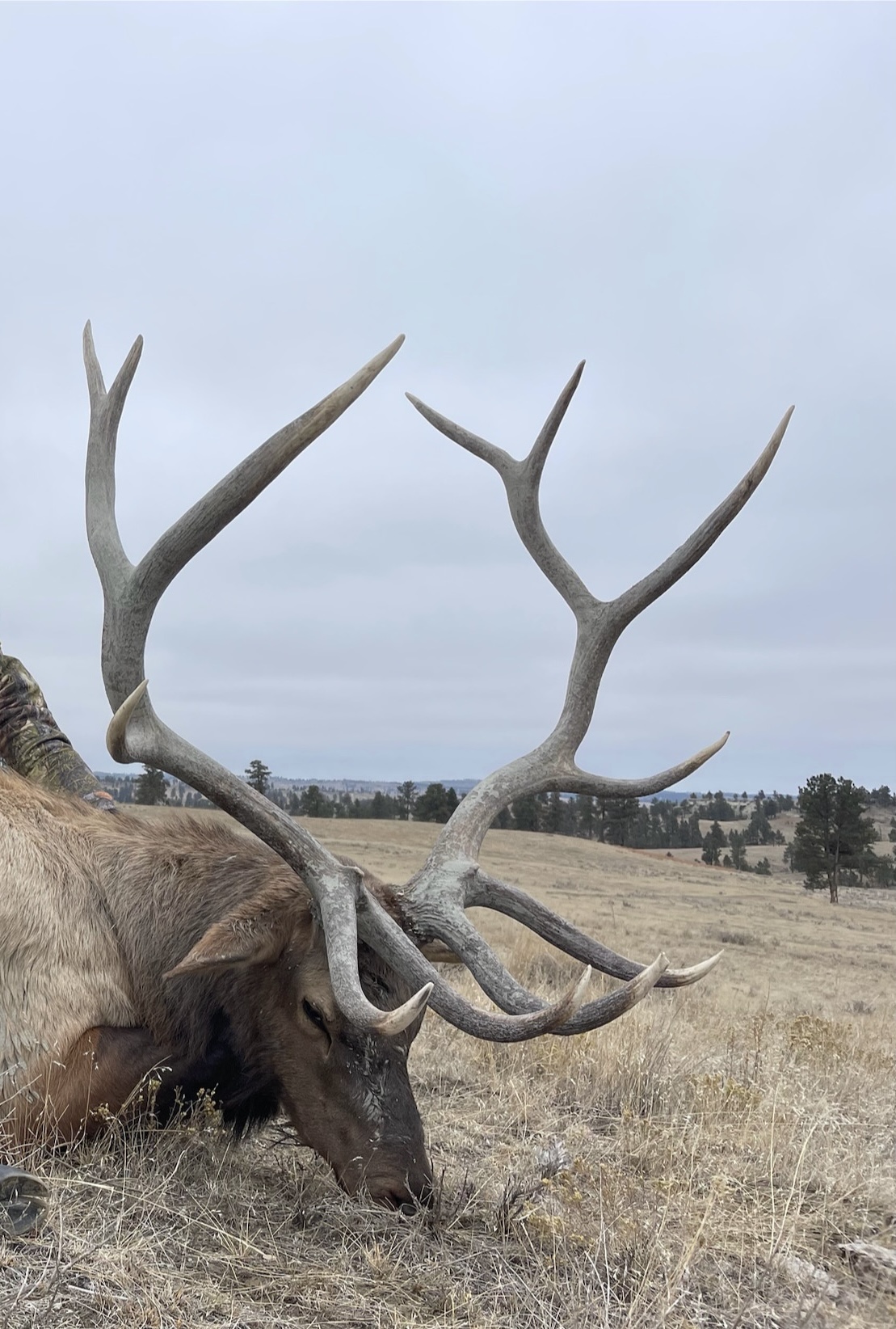 Windancer Ranch | | Custer, Montana