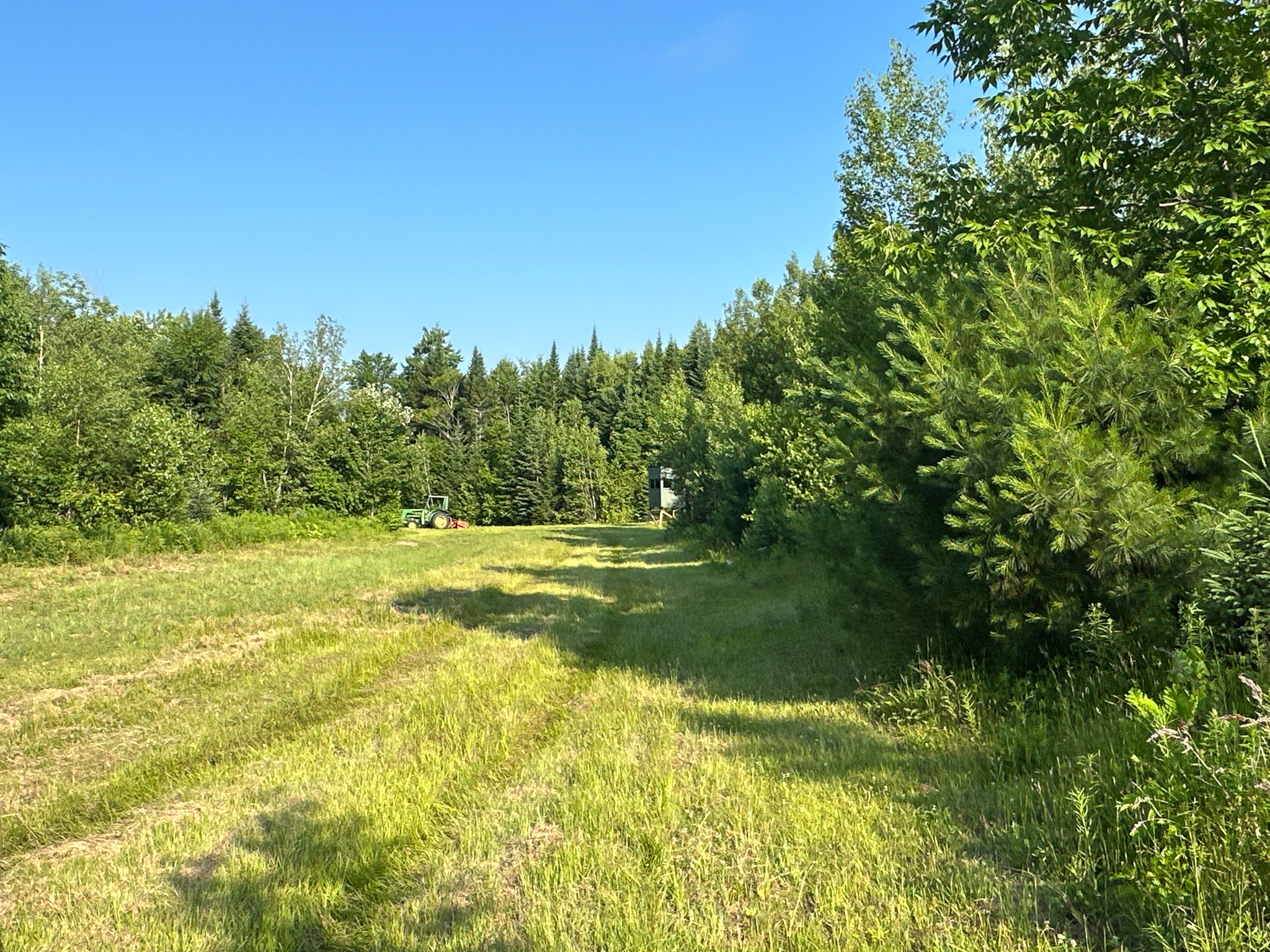 Maine Hunting and Recreational Timberland for Sale | 152± Acres in Carroll Plantation
