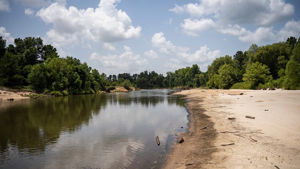 Clear Lake Land in East Feliciana Parish, Louisiana