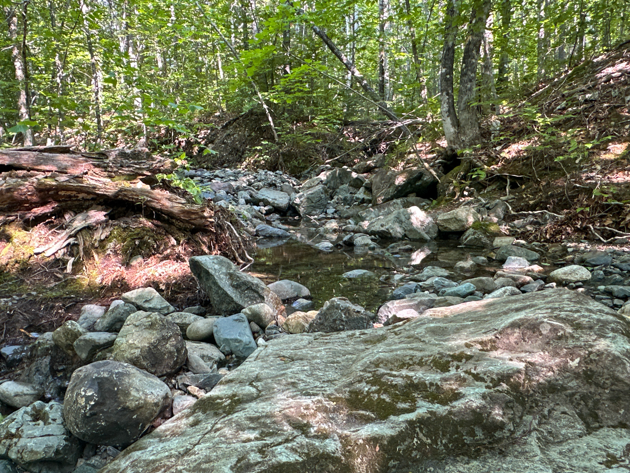 80± Acres of Off-Grid Mountain Land in Mount Chase, Maine