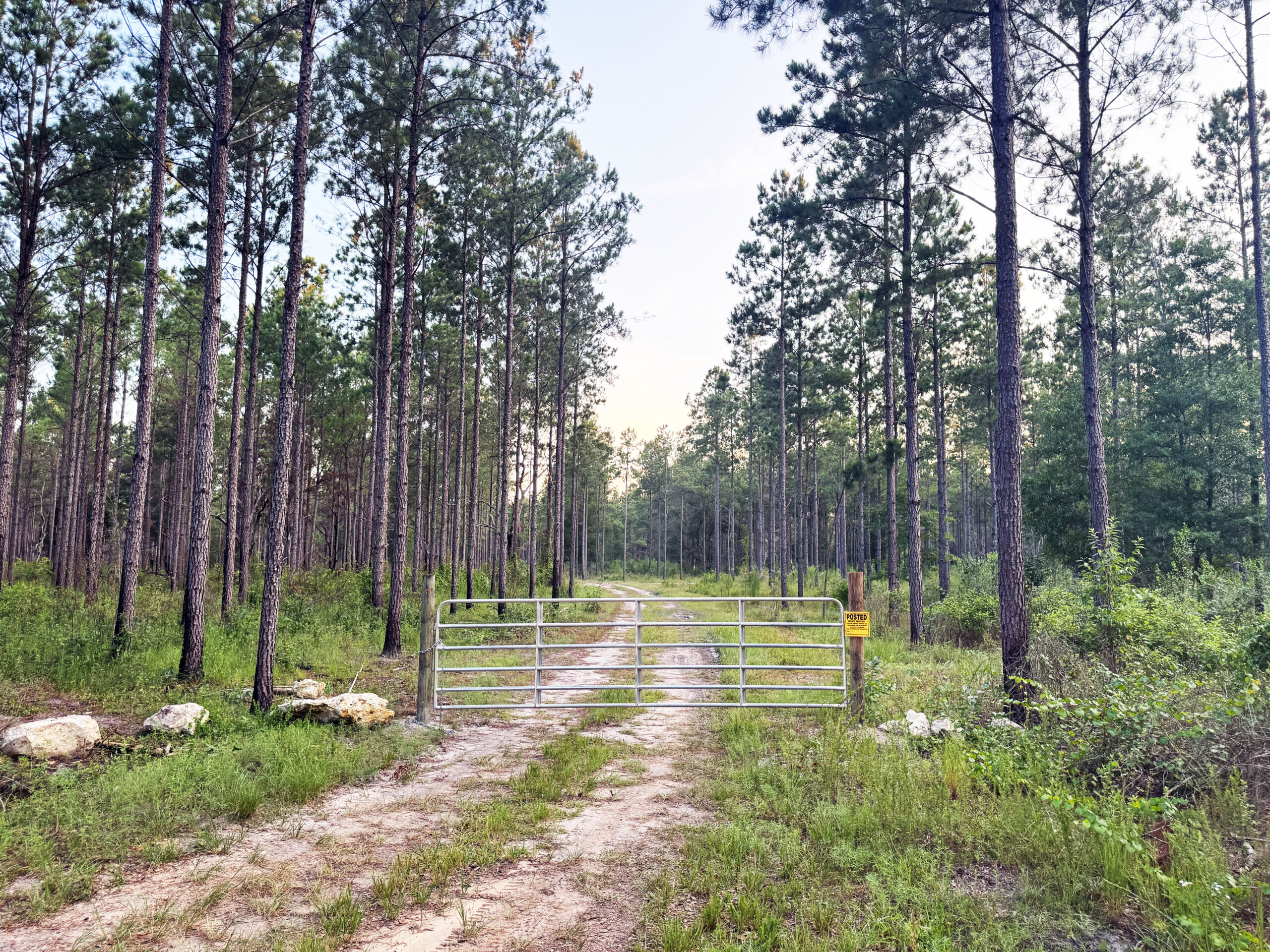 Recreational and hunting paradise located just outside Vada, GA in Decatur County