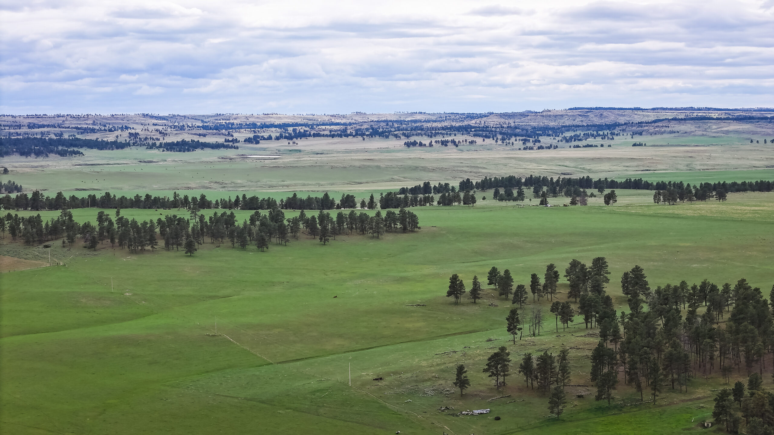 Windancer Ranch | | Custer, Montana