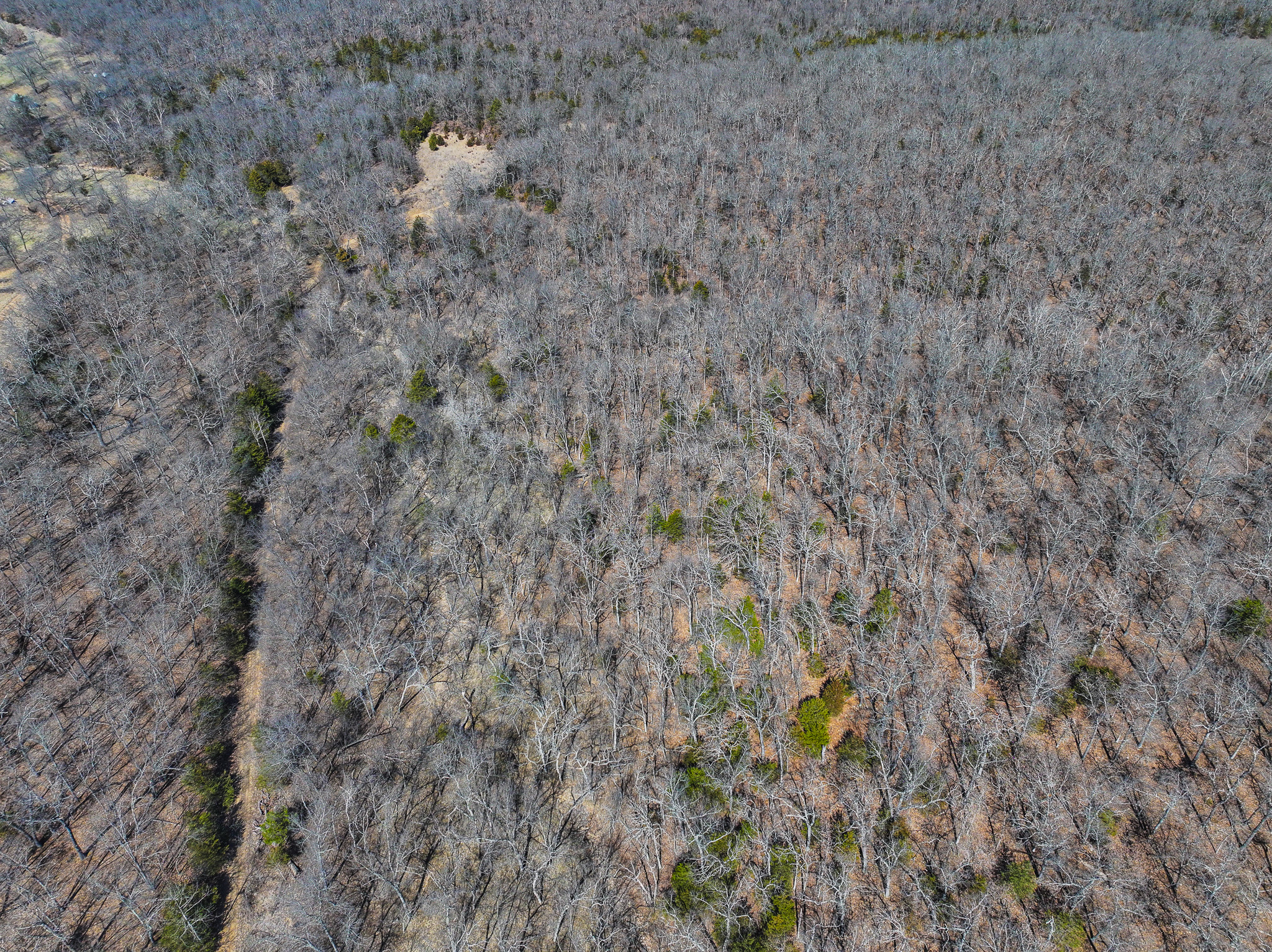 89+/- Acre Hunting property with a nice home and shop