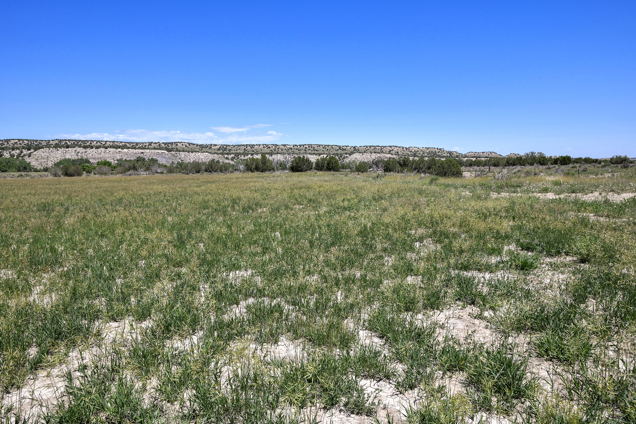 Burnt Mill Ranch – 643± Acres of Prime Colorado Ranchland