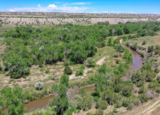 Burnt Mill Ranch – 643± Acres of Prime Colorado Ranchland