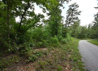 53± Acres for Sale in Decaturville, Tennessee