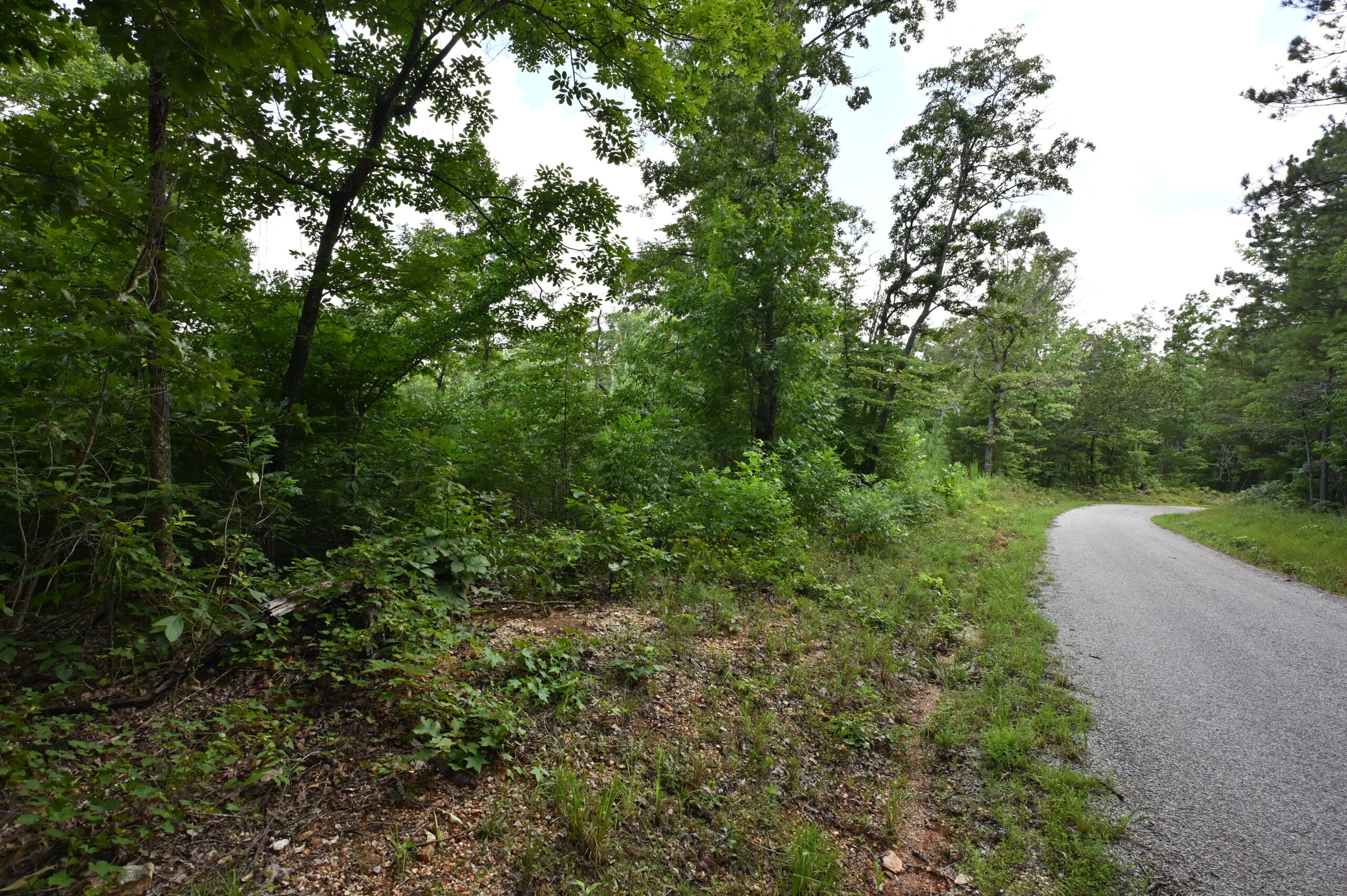 53± Acres for Sale in Decaturville, Tennessee