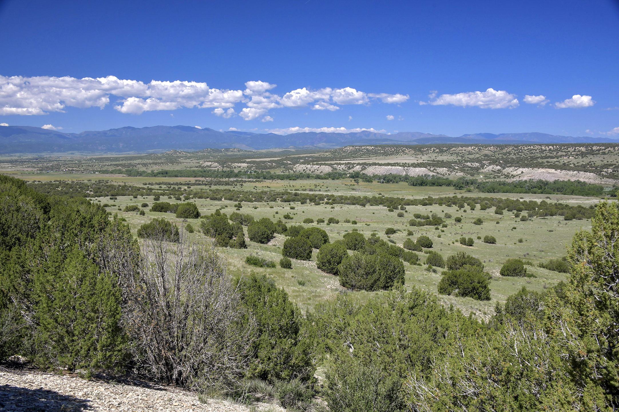 Burnt Mill Ranch – 643± Acres of Prime Colorado Ranchland
