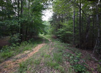 53± Acres for Sale in Decaturville, Tennessee