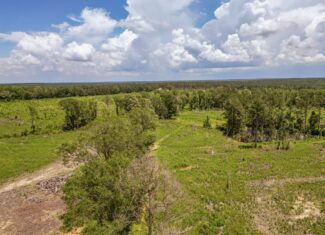 Land for Sale in Amite County, MS