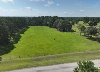 47.7 Acres with Custom Home & Abundant Wildlife