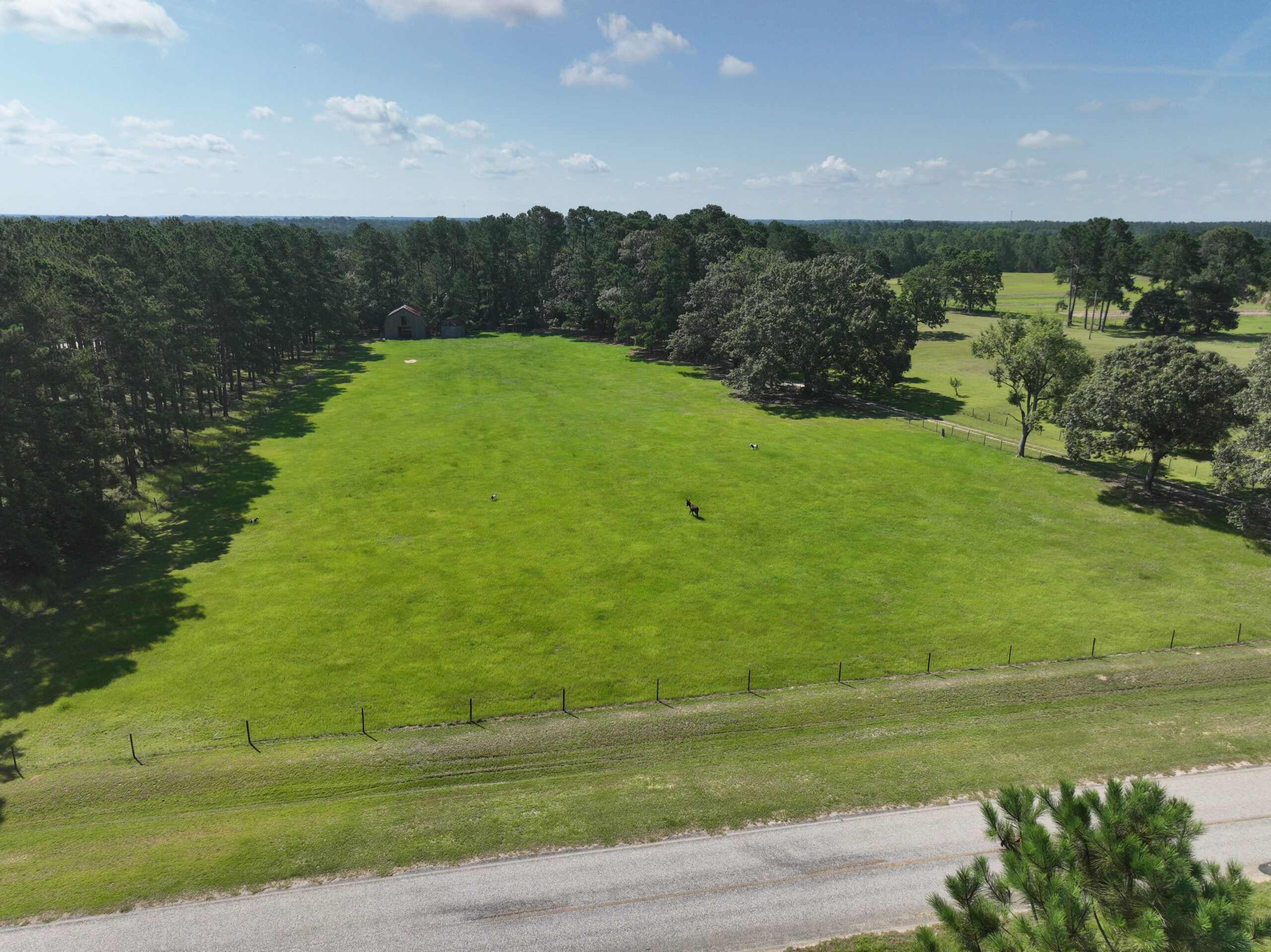 47.7 Acres with Custom Home & Abundant Wildlife