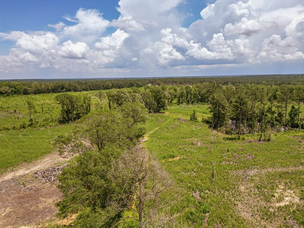 Land for Sale in Amite County, MS