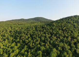 80± Acres of Off-Grid Mountain Land in Mount Chase, Maine