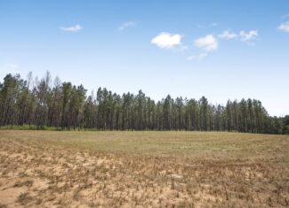 Amite County Hunting Land – The Winding 41