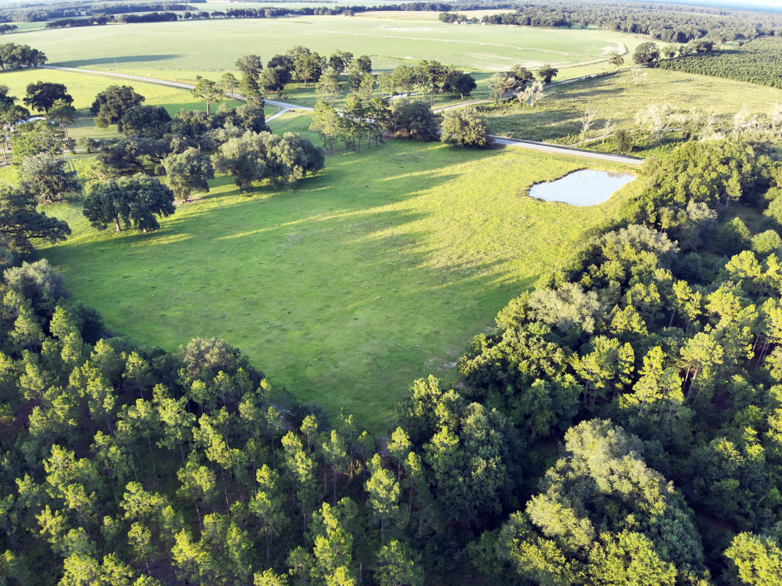 Recreational and hunting paradise located just outside Vada, GA in Decatur County