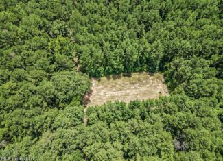 Turn-Key Hunting Land for Sale in Magnolia, Mississippi