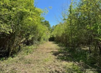Hunting Land for Sale Near Gloster, Mississippi