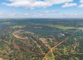 Country Ranch and hunting paradise on 333.17 acres in San Saba County for sale