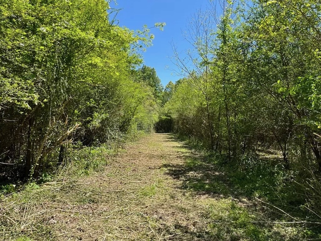 Hunting Land for Sale Near Gloster, Mississippi
