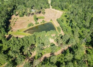 Osyka MS Hunting Land with Pond – Pike 38