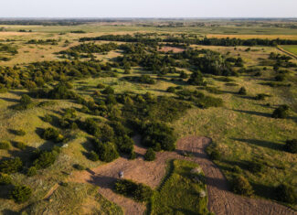 200+/- Acre Recreational & Agricultural Property | Pratt County, Kansas – Unit 16 Trophy Whitetail Country