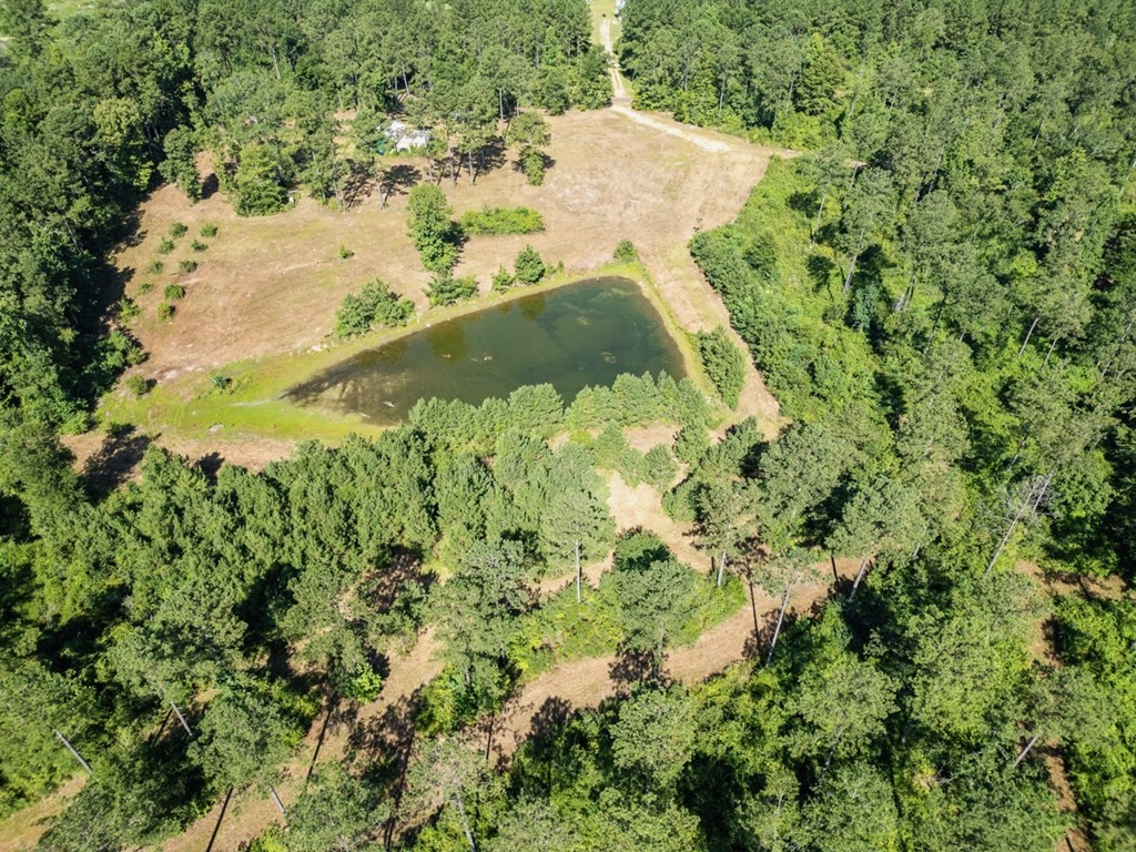 Osyka MS Hunting Land with Pond – Pike 38