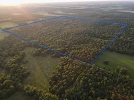 Land For Sale Barton County, MO 160± acres