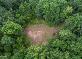 95 Acres of Prime Hunting Property in Hinds County
