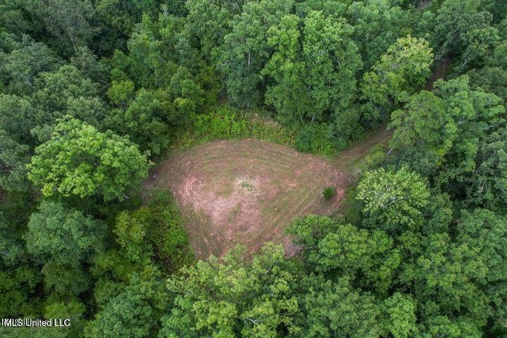 95 Acres of Prime Hunting Property in Hinds County