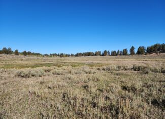 155 Acres of Hunting and Recreation Land in CO