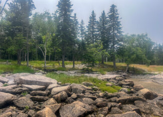 35± Acres with 1500 feet on the Brook