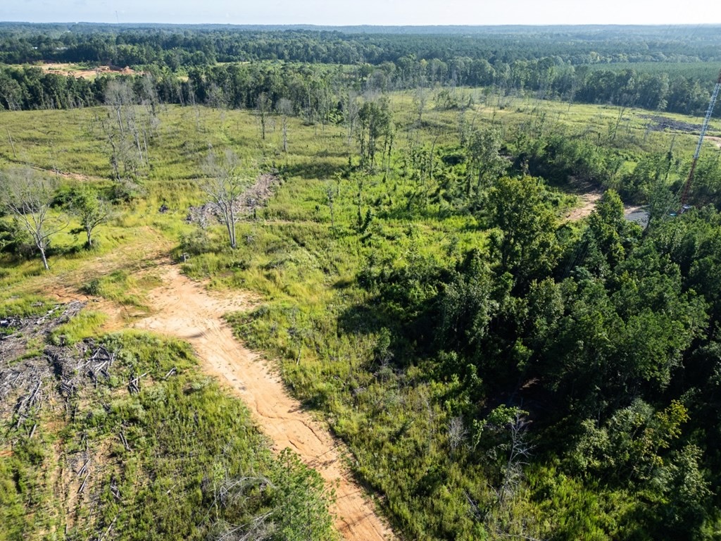 Gloster MS Hunting & Investment Land for Sale – 84 Acres