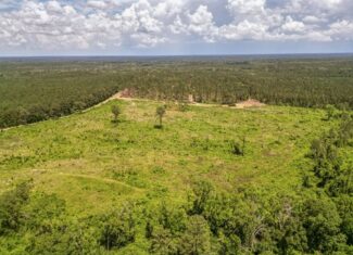 Land for Sale in Amite County, MS