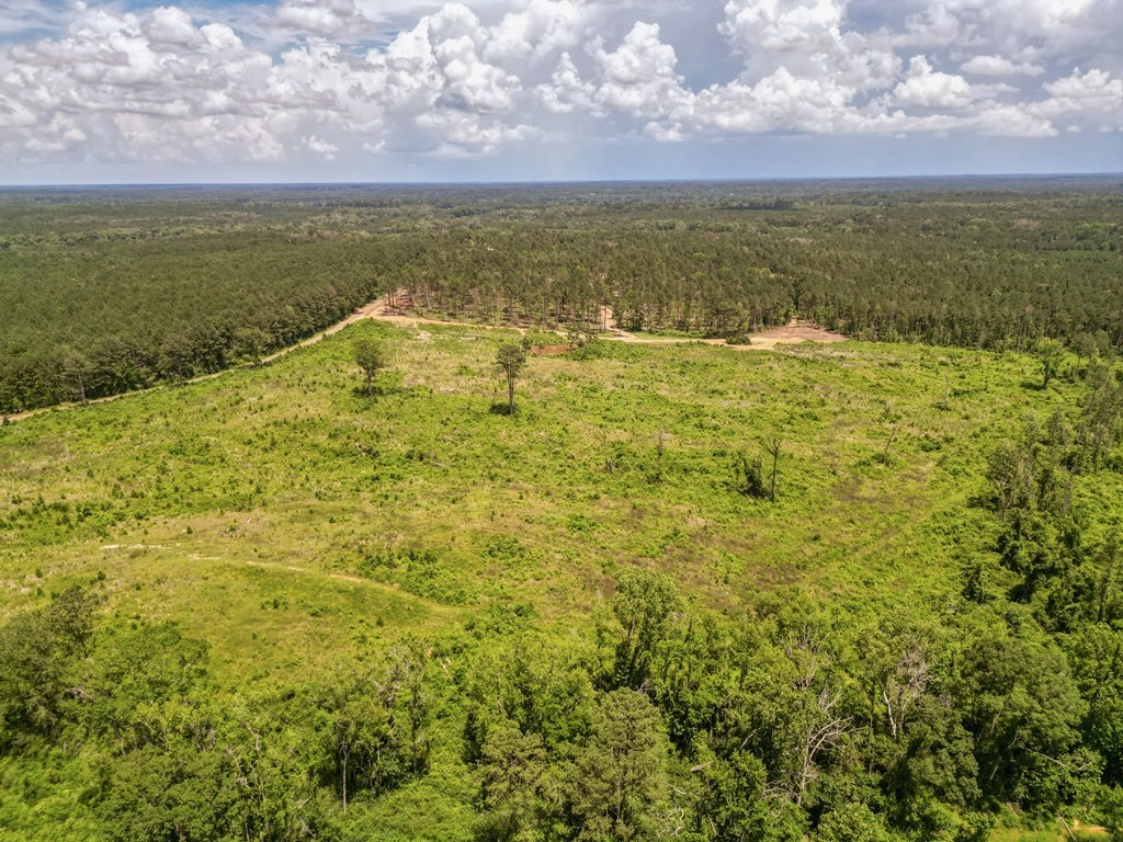 Land for Sale in Amite County, MS