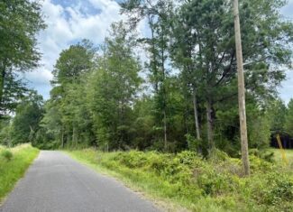 67 Acres For Sale Lawrence County MS