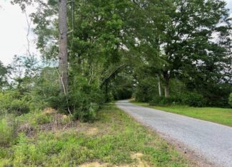 Land for Sale in Amite County, MS