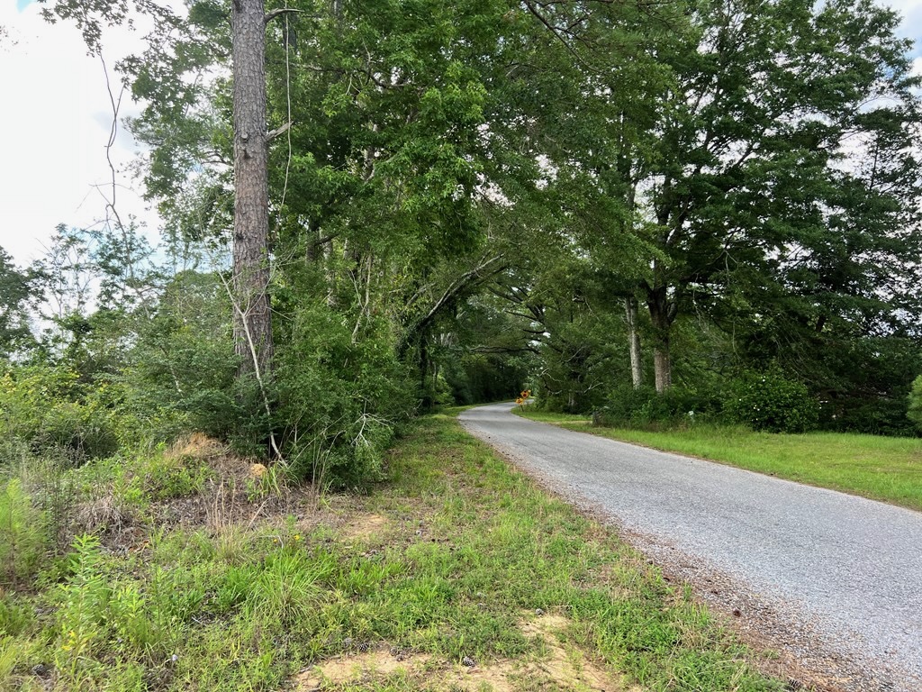 Land for Sale in Amite County, MS