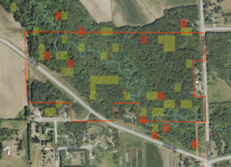 71.8-Acre Heavily Wooded Hunting Parcel with 4,500 Ft of St. Francis River Frontage