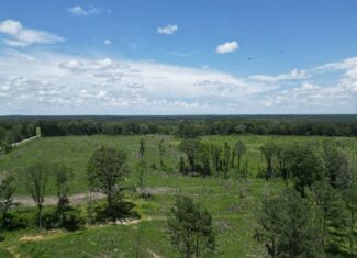 Land for Sale in Amite County, MS