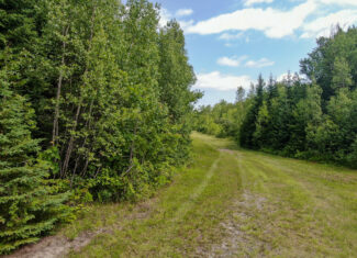 Maine Hunting and Recreational Timberland for Sale | 152± Acres in Carroll Plantation
