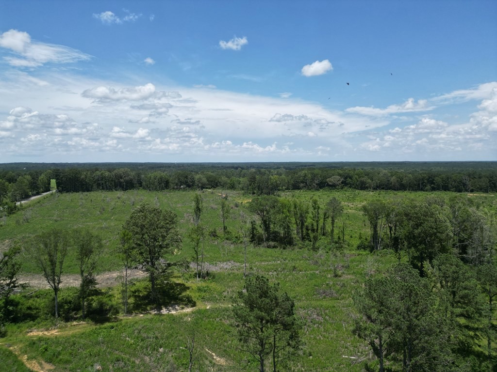 Land for Sale in Amite County, MS