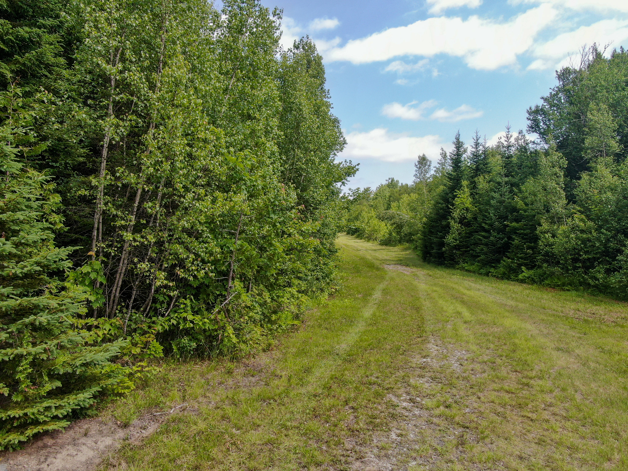 Maine Hunting and Recreational Timberland for Sale | 152± Acres in Carroll Plantation