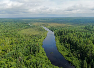 Remote Maine Hunting Camp with Stream Frontage