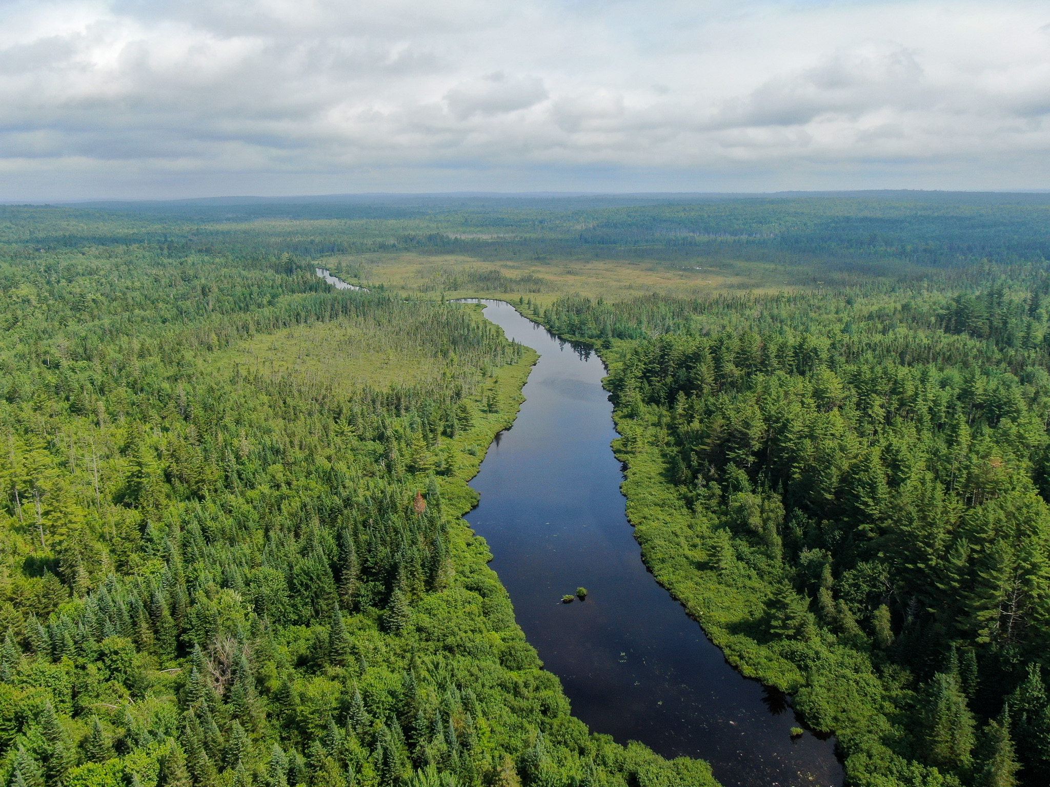 Remote Maine Hunting Camp with Stream Frontage