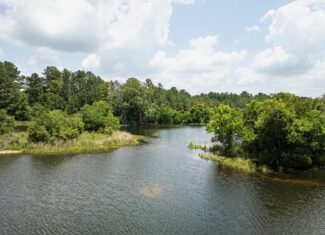Clear Lake Land in East Feliciana Parish, Louisiana